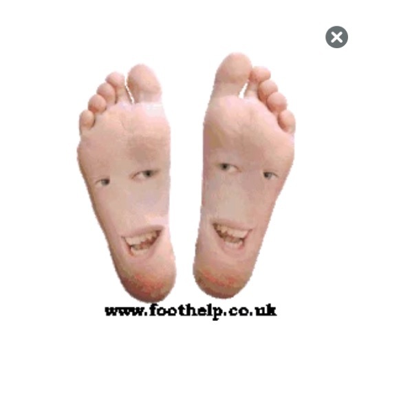 Meet your Posher, Sasha - Picture 1 of 1